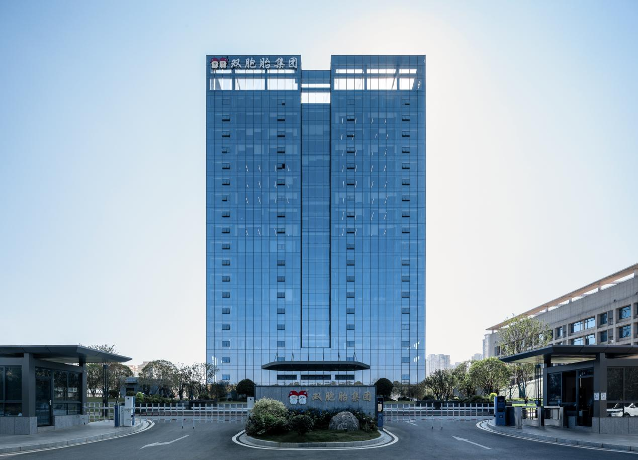  双胞胎集团