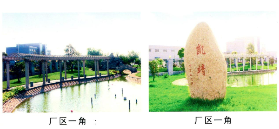 1721091962834772.png 图片42.png