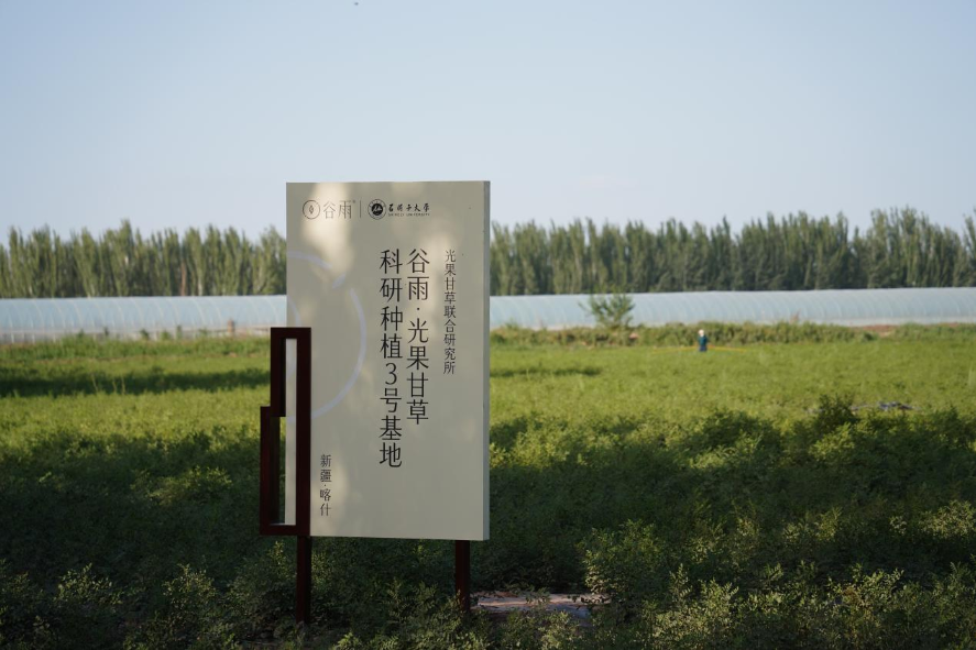 图片15.png