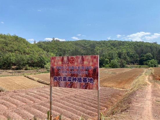 1761535844665680.png 图片3.png